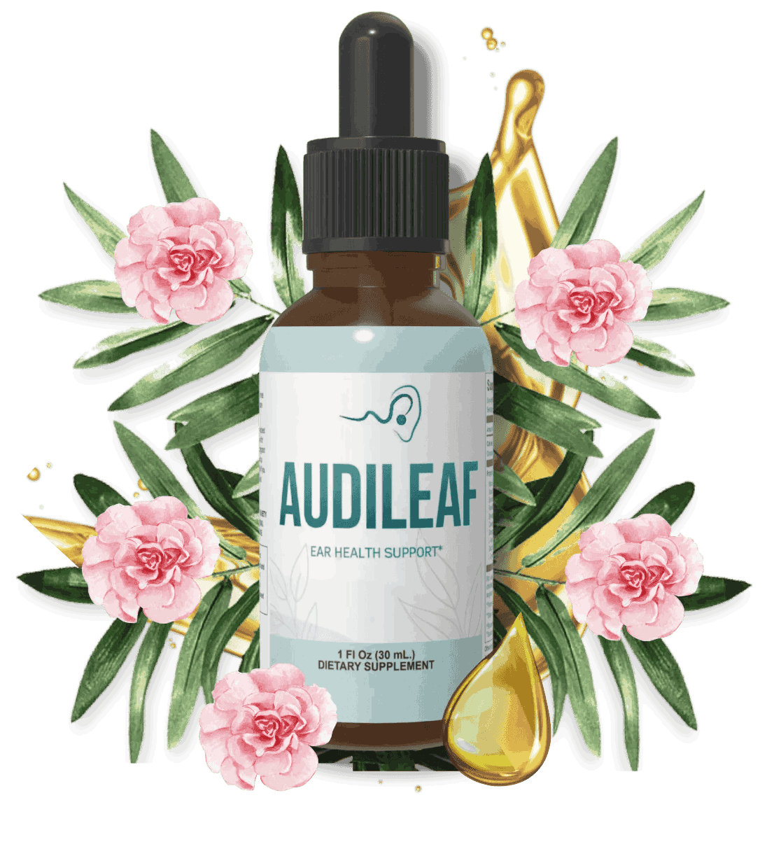  AudiLeaf Supplement